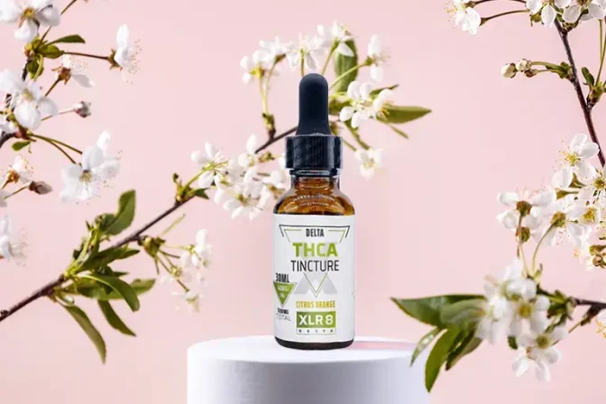 CBD Tincture for Sleep