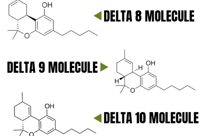 Delta 8 vs Delta 9 vs Delta 10: Which is Right For You