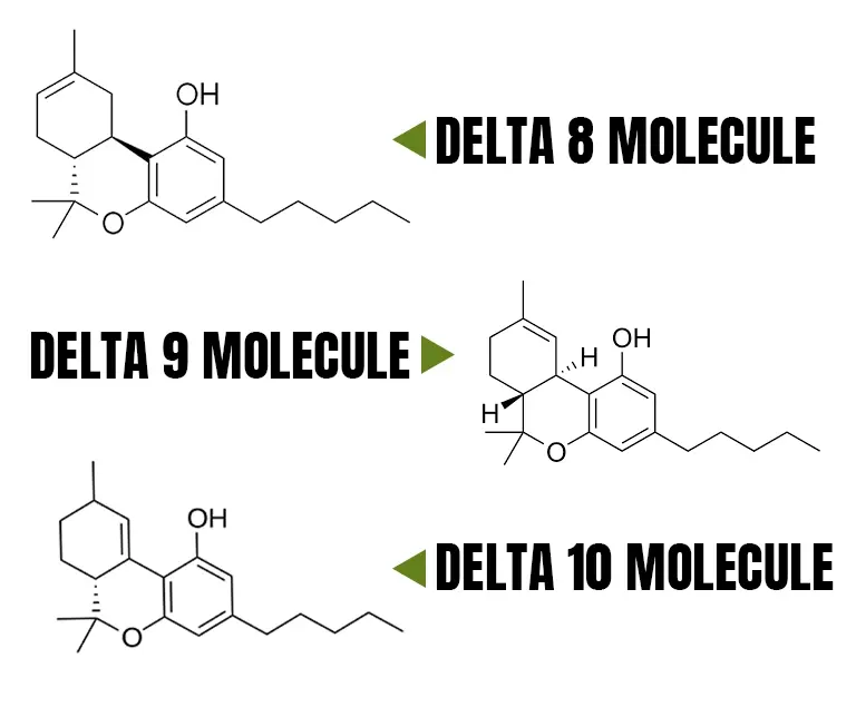 Delta 8 vs Delta 9 vs Delta 10: Which is Right For You