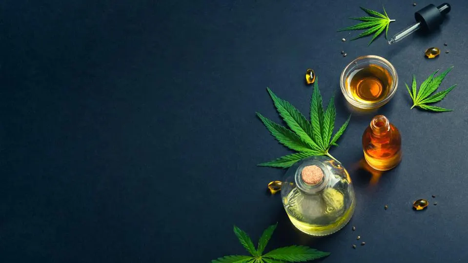 Various bottles of hemp oil, cannabis leaves, and seeds are arranged on a dark surface, showcasing the health benefits of CBD.