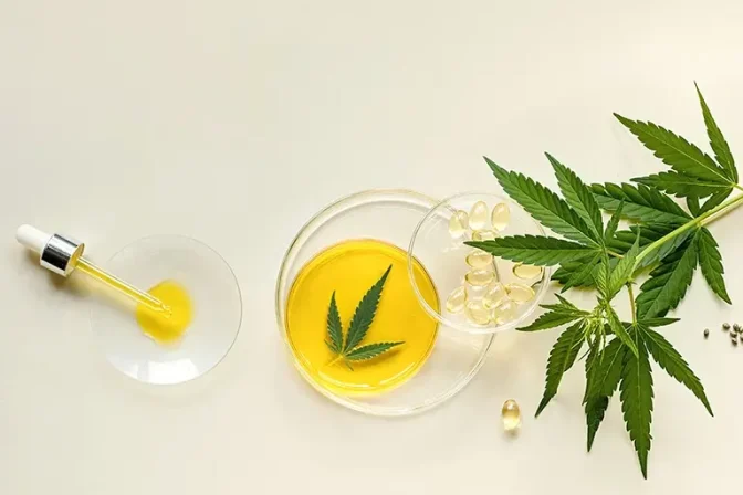 What is CBN Cannabinol: A Comprehensive Guide